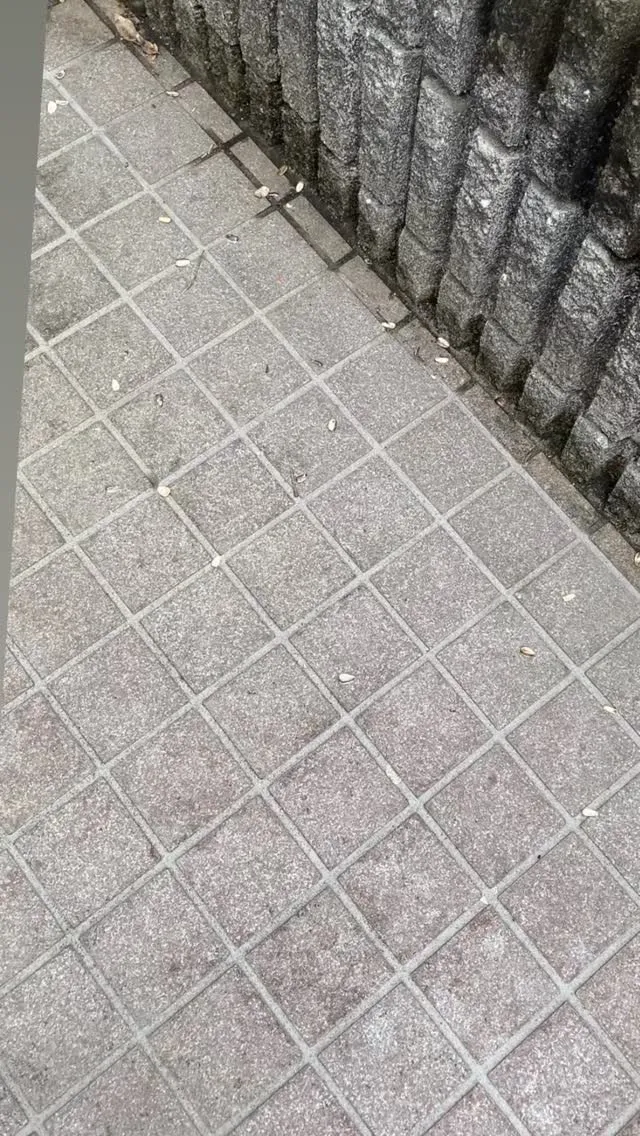 一体誰なの〜〜〜〜⁉️🤔